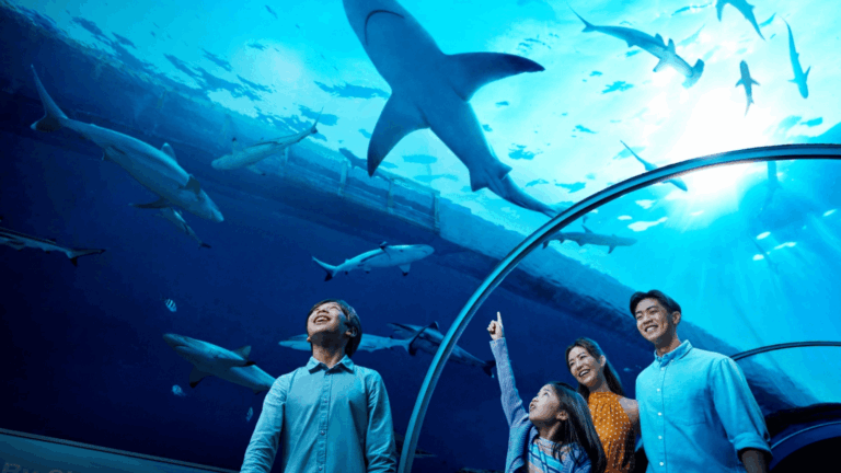 Metacrilato para acuarios y zoológicos