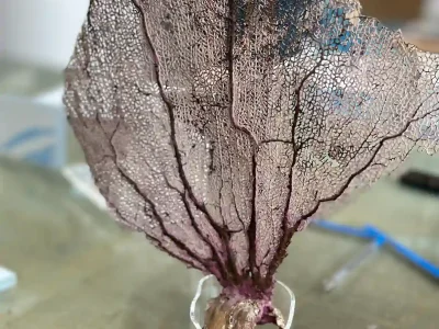 Decoración de interiores en metacrilato transparente o de colores