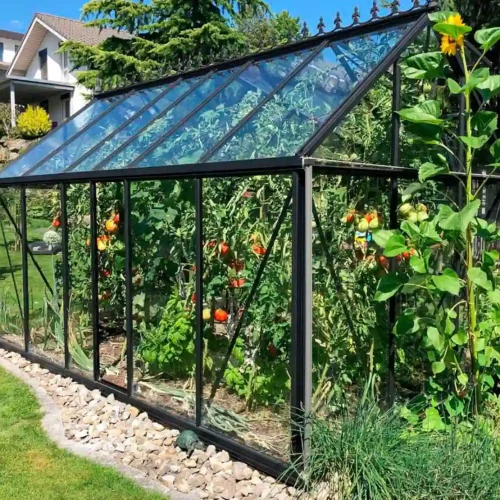 Placas de metacrilato en cubierta de invernadero